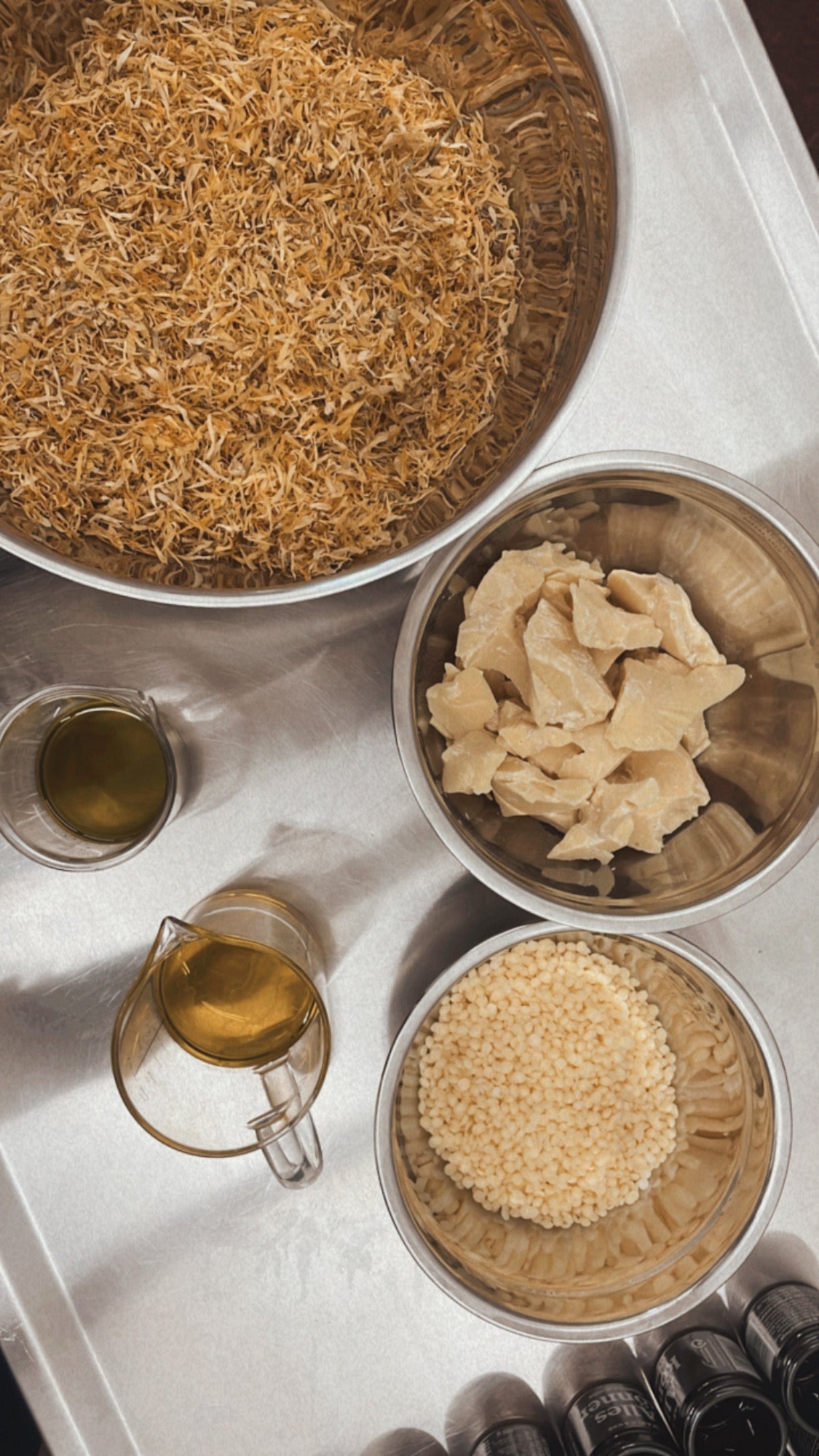 Weltbienentag & was Du dazu wissen solltest